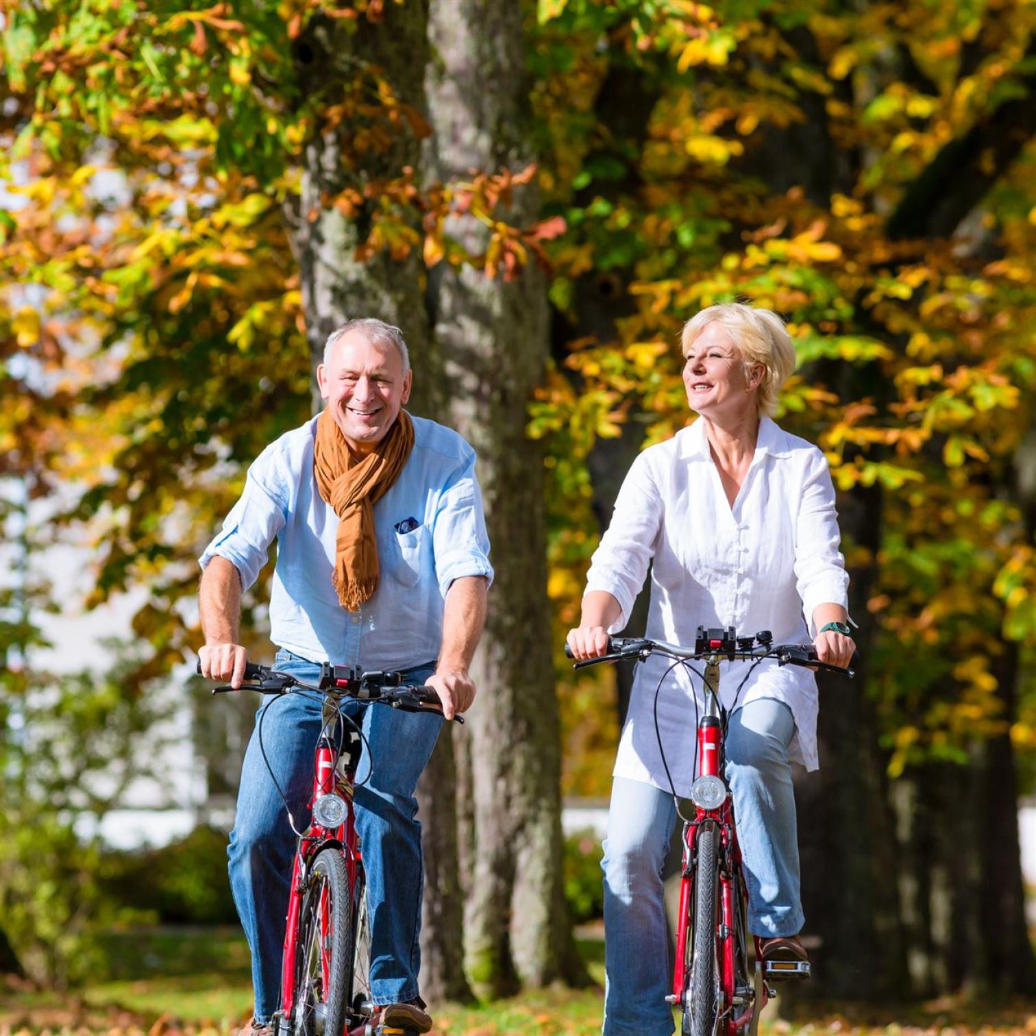 Älteres Ehepaar beim Radfahren im Sommer und in der Natur